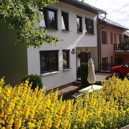 U Machacku - Lipno Appartement Lipno nad Vltavou Buitenkant foto