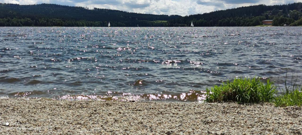 U Machacku - Lipno Appartement Lipno nad Vltavou Buitenkant foto