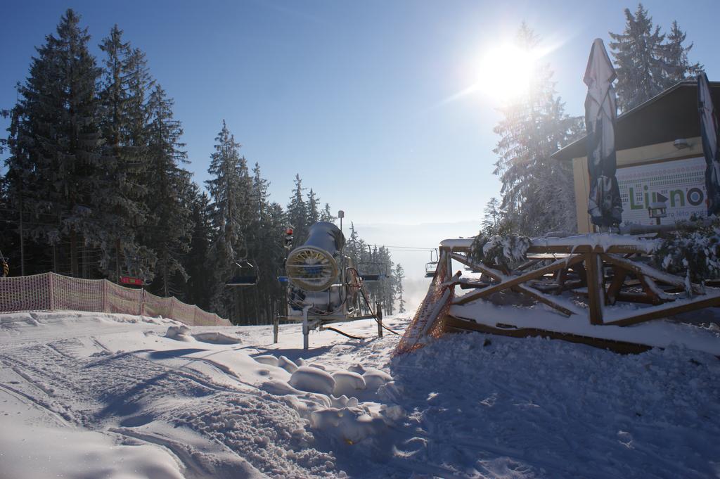 U Machacku - Lipno Appartement Lipno nad Vltavou Buitenkant foto