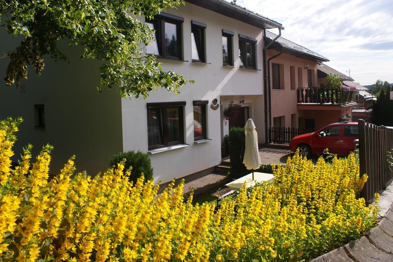 U Machacku - Lipno Appartement Lipno nad Vltavou Buitenkant foto